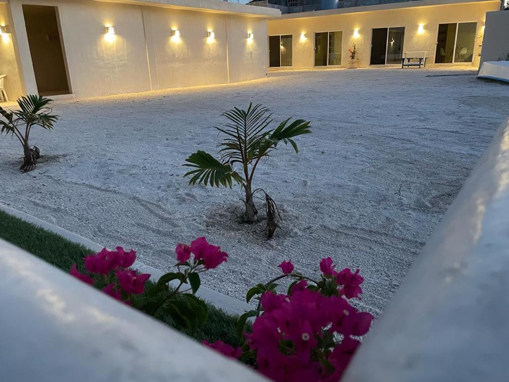 Palomar Villas Río Lagartos Exteriör bild